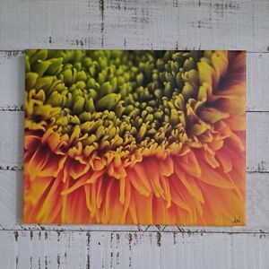 Depth of a Sunflower Canvas Original Print